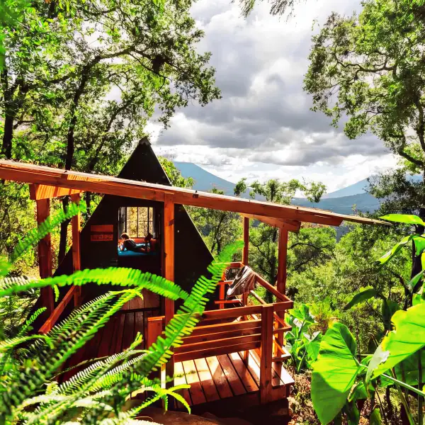 ecolodge hotel
